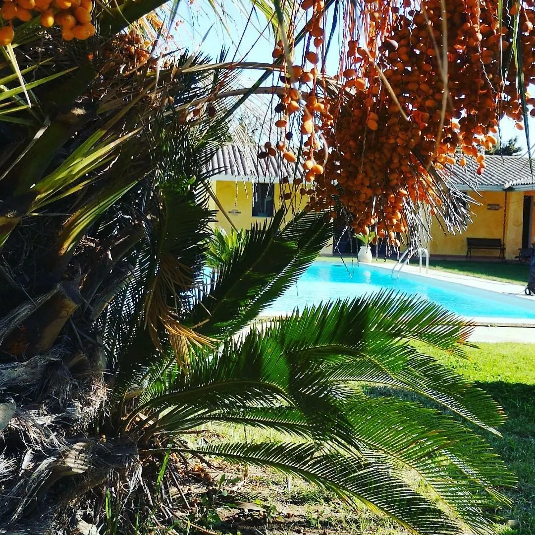 Vila La Luce Del Sinis Riola Sardo Farma